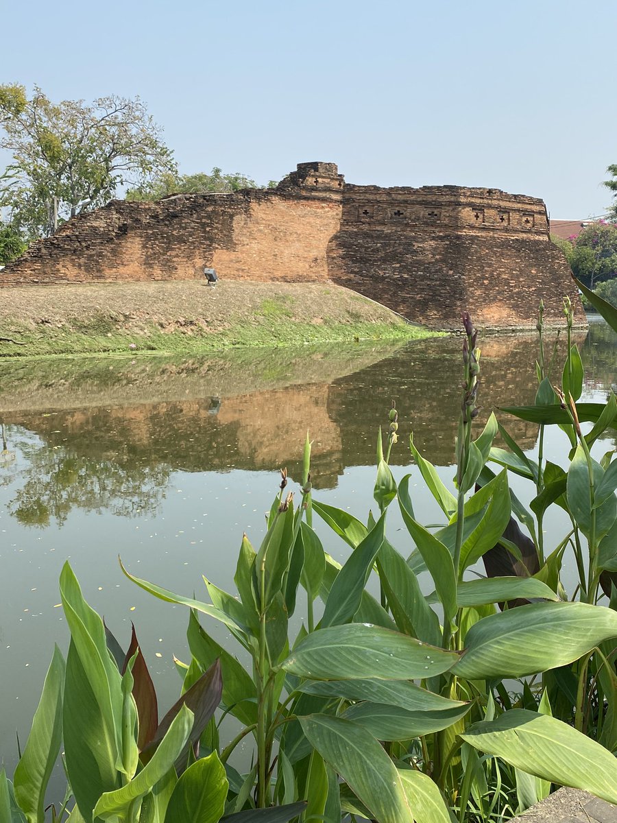 Mark-Anthony Karantabias tweet media