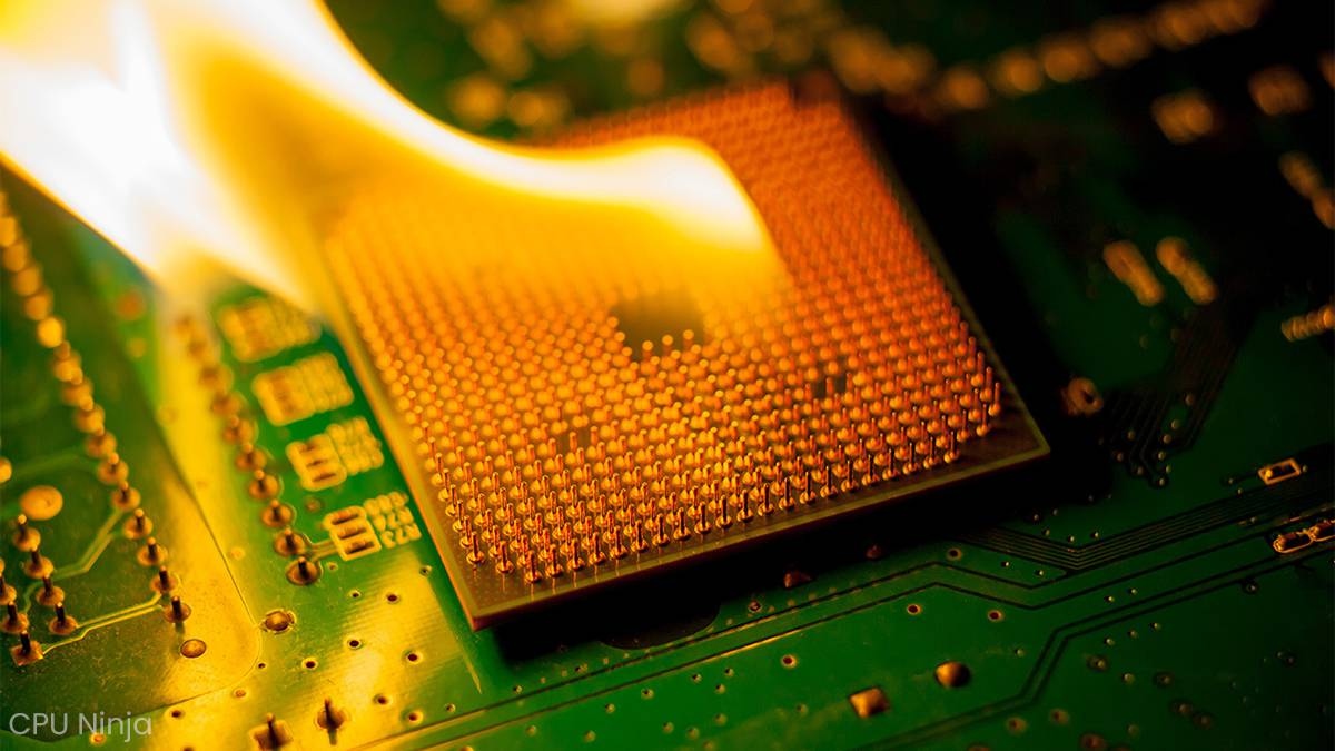 CPUNinja1's tweet image. Here are the best CPU temperature monitor software (free and paid) you can use to monitor your CPU&apos;s temperature:
➡️ cpuninja.com/best-cpu-tempe…

#CPU #CPUs #CPUtemperature
#CPUtemperaturemonitorsoftware