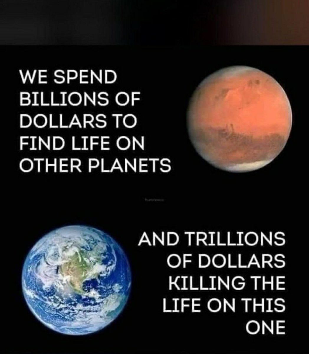 anishaani01's tweet photo. #SaveSoilSaveLife #ConsciousPlanet https://t.co/9uZrrLNRgu