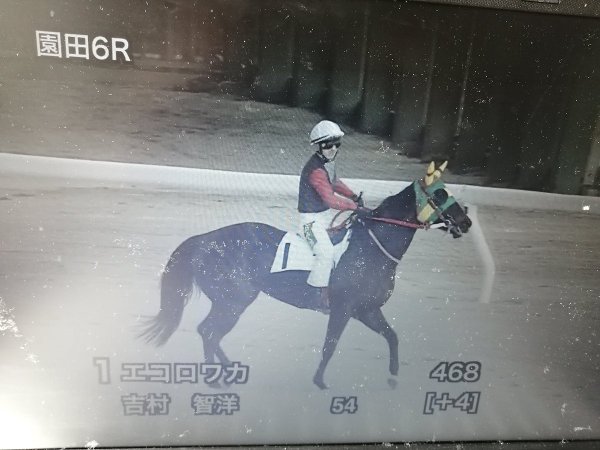 カーヴィーがエリカバイラとの間に挟まっていなければ、エリカバイラが無理して行ききることもなかっただろうし、背後につけたことで進路がスムーズに開いたわけだから、カーヴィー@長尾くんの位置も勝因の一つですね。これでJRA転入の運びになるでしょうが、向こうでも白星を重ねてください。