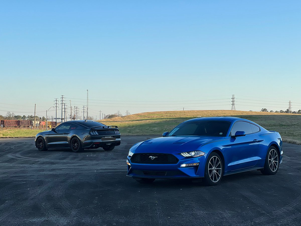 Josslynn16's tweet photo. Our babies 🤧🖤 
#mustang #fordperformance #ecoboost #mustanggt #pp1 #musclecar #10r80 https://t.co/cmZIBKGdxx