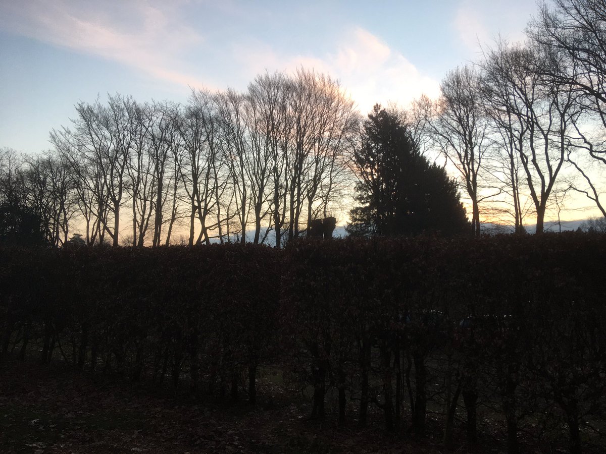 warnerbs's tweet photo. Woensdag 2 maart, 07.20 u #zonsopkomst #hattem #leemkule https://t.co/unZZgU4A8N