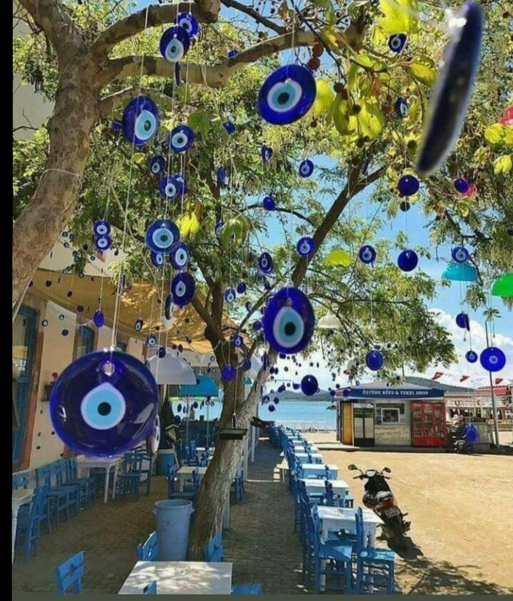 SemaYayyla's tweet photo. GÜNAYDIN https://t.co/OoFlpedf3X