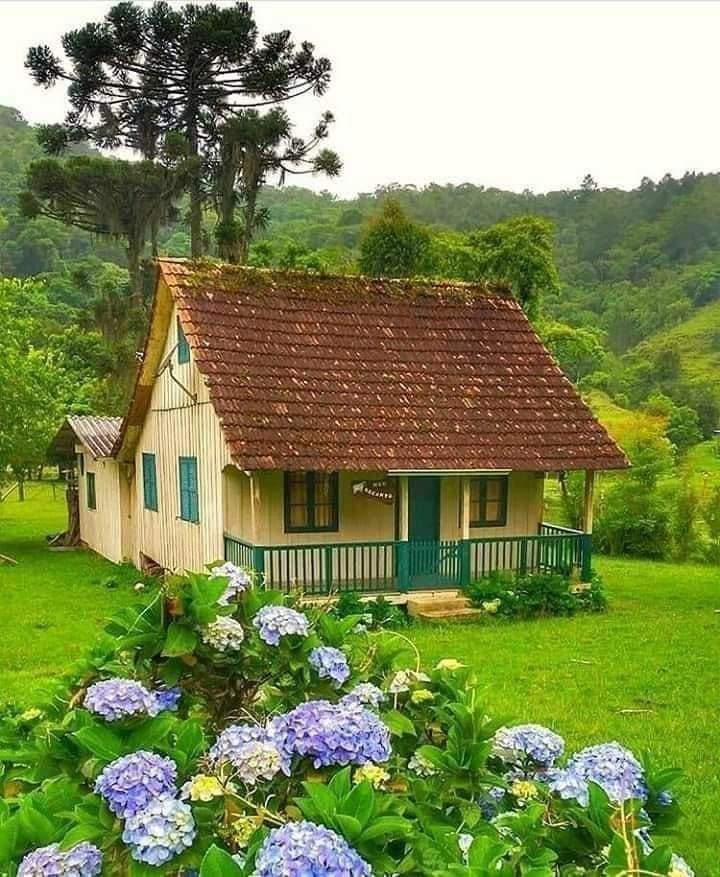 Bom dia ☕💋💋💋
Feliz quarta-feira!