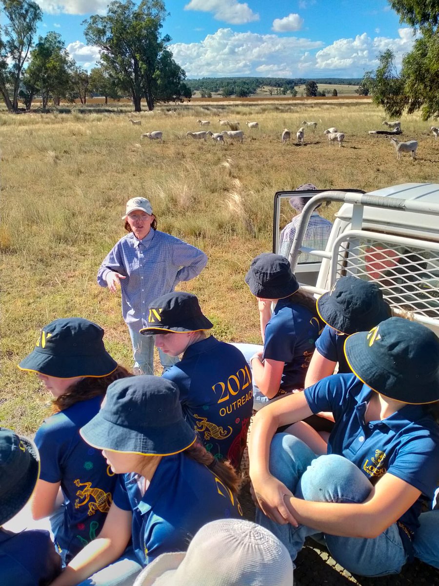 LoretoMission tweet media