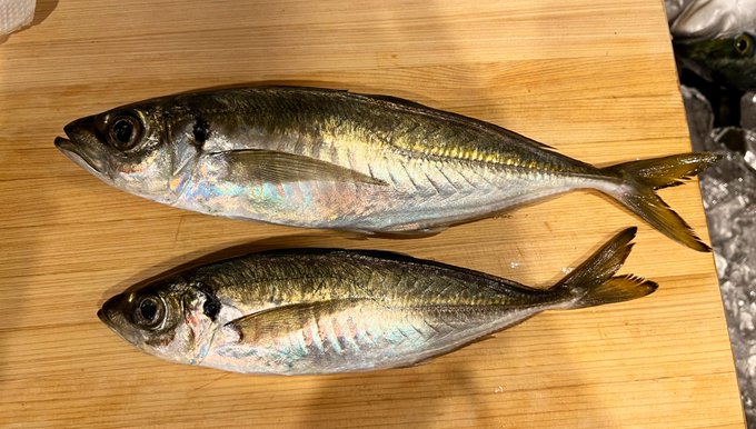 ハマチのtwitterイラスト検索結果