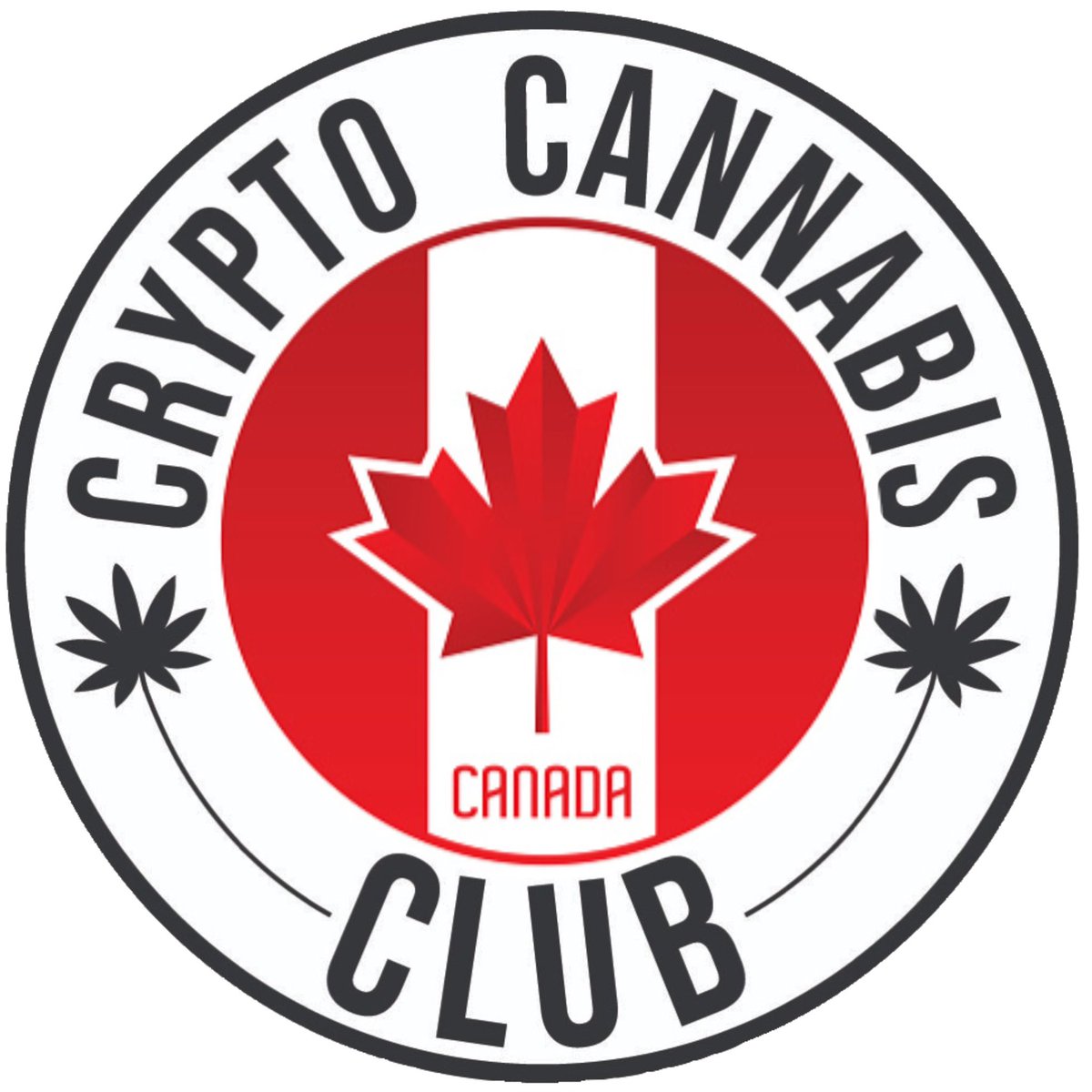 It’s official! <a href="/CryptoCannaClub/">Crypto Cannabis Club</a> Canadian Chapter 12 Logo (beta) Special thanks to <a href="/MyKeyTailor/">👨🏾‍💻</a> for making the logo! Any Canadian Tokers please post below so we can add you to the chapter chat.