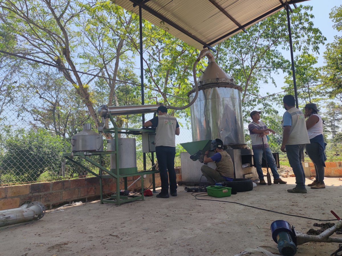 IAP ActionPeace tweet media