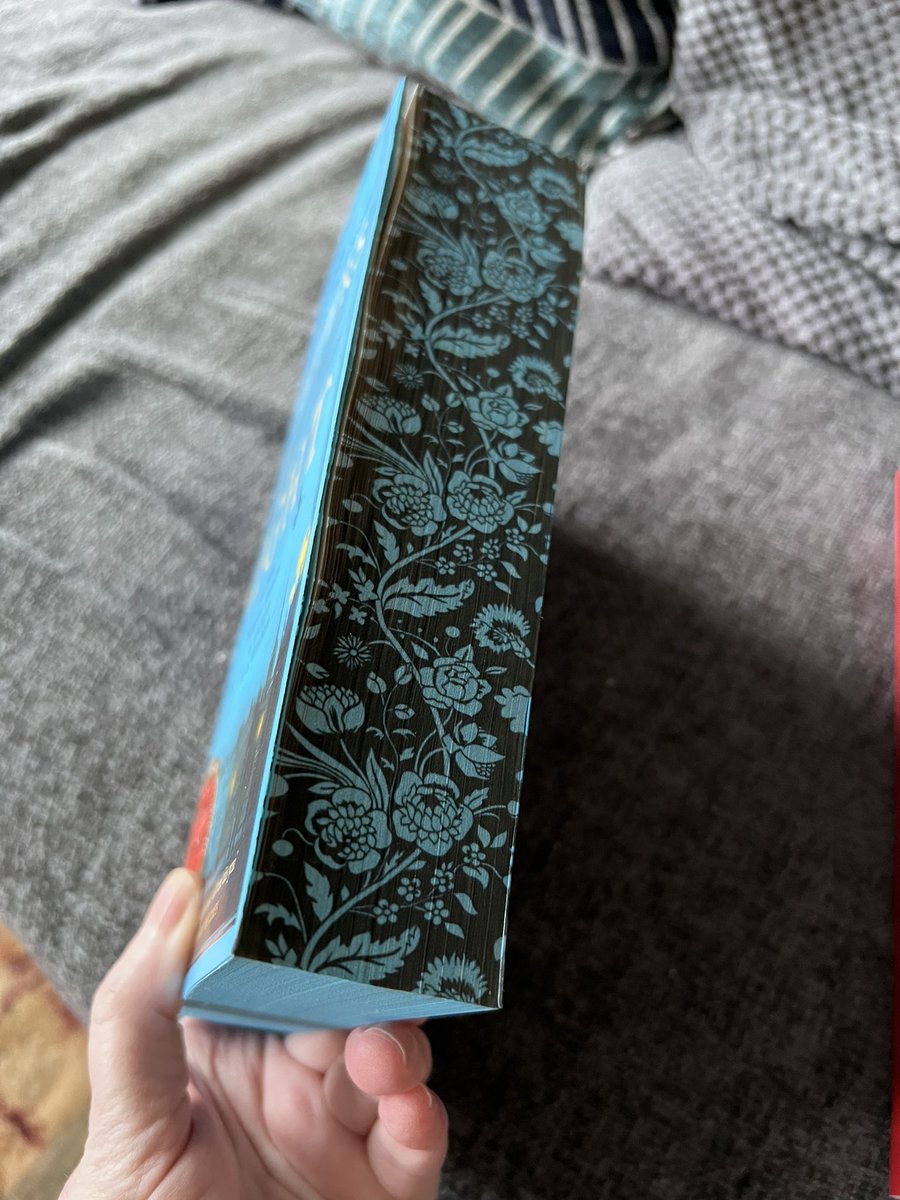 jackiereading62's tweet photo. In todays book mail I couldn’t resist ordering the paperback copy of #DaughtersOfTheNight by @LauraSRobinson how gorgeous does this copy look? Published by @panmacmillan how gorgeous are those spredges. Thank you @Bookishcrick for my pre order. Get yourself a copy now 💕💕 https://t.co/dPpOQYYFvS
