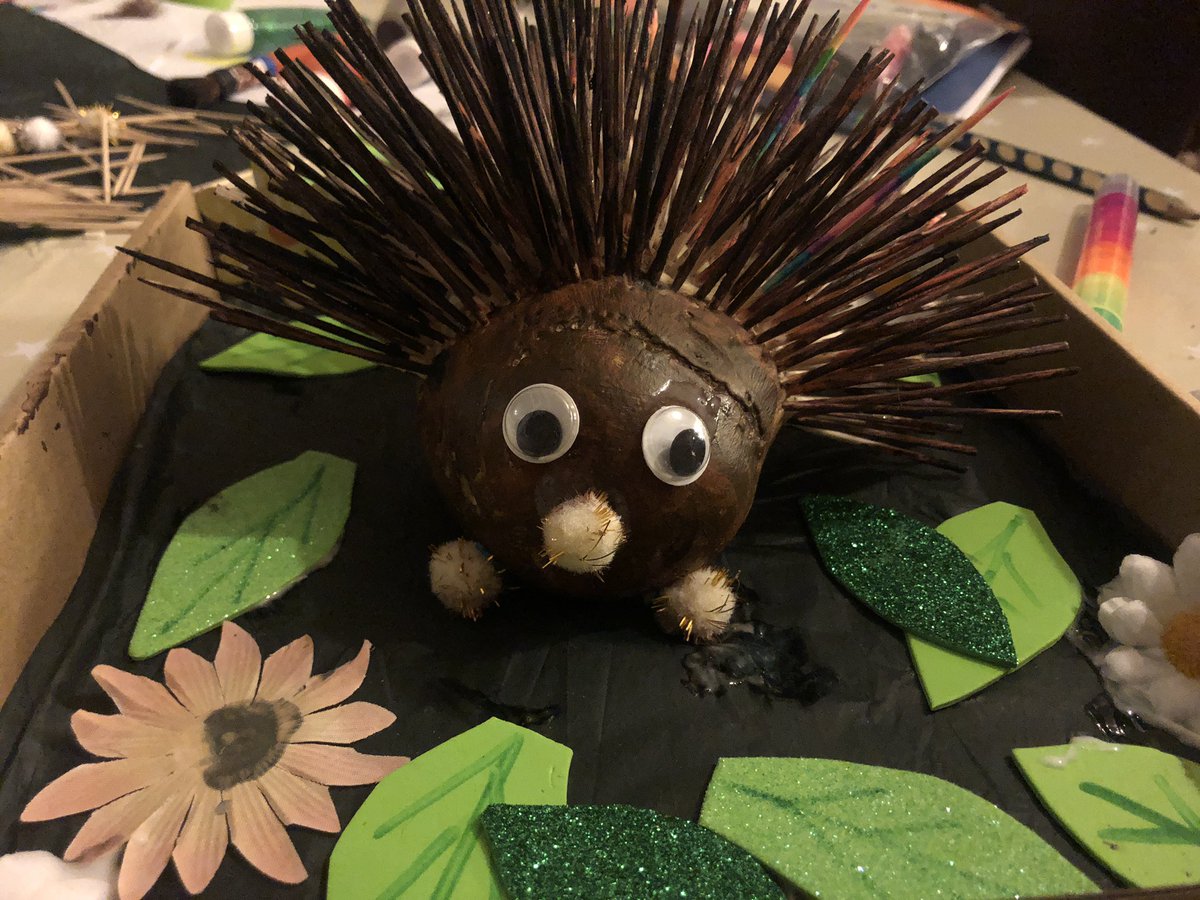 So the spud transformed into a hedgehog! Inspired by our love of Mr Dog and a Hedge Called Hog <a href="/Benfogle/">Ben Fogle</a> ❤️. All ready for <a href="/WorldBookDayUK/">World Book Day UK 📚</a> @PitsfordPSGH @PitsfordPSRT <a href="/pitsfordprimary/">pitsfordprimary</a> @PitsfordPSRH