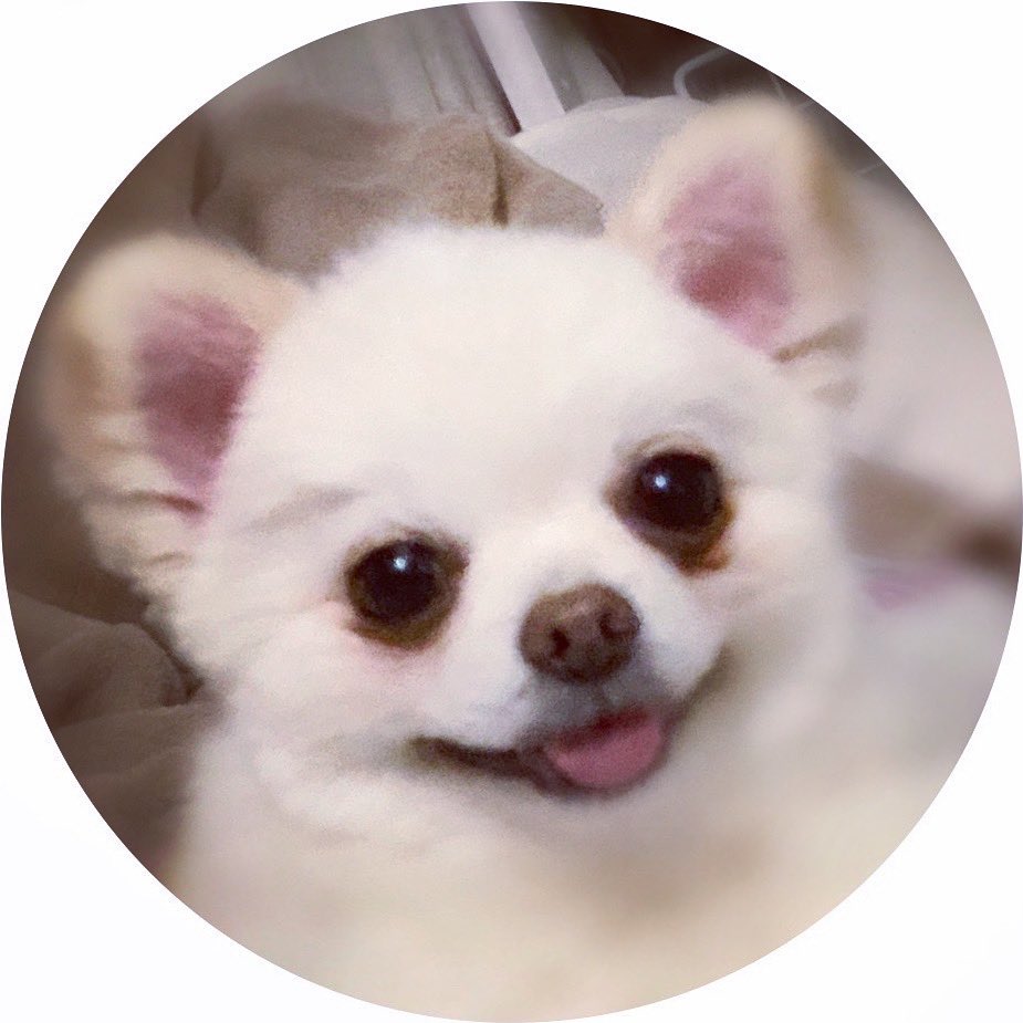 中西 可愛い笑顔が撮れたので即lineアイコンにしました T Co Qskxxvryz2 Twitter