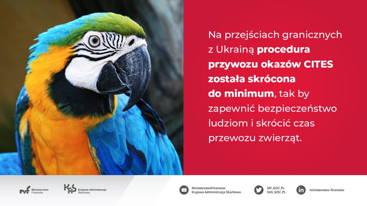 Krajowa Adm. Skarbowa tweet media