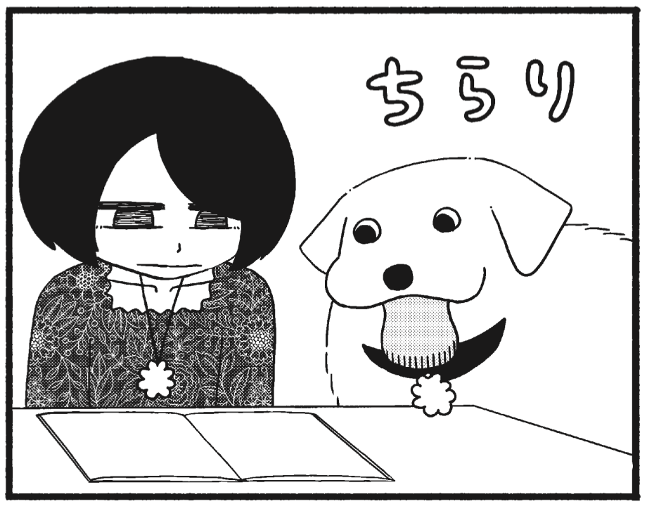 「きりもやびより」は犬の白目部分を描くようになりました。犬の白目部分のファンです。 