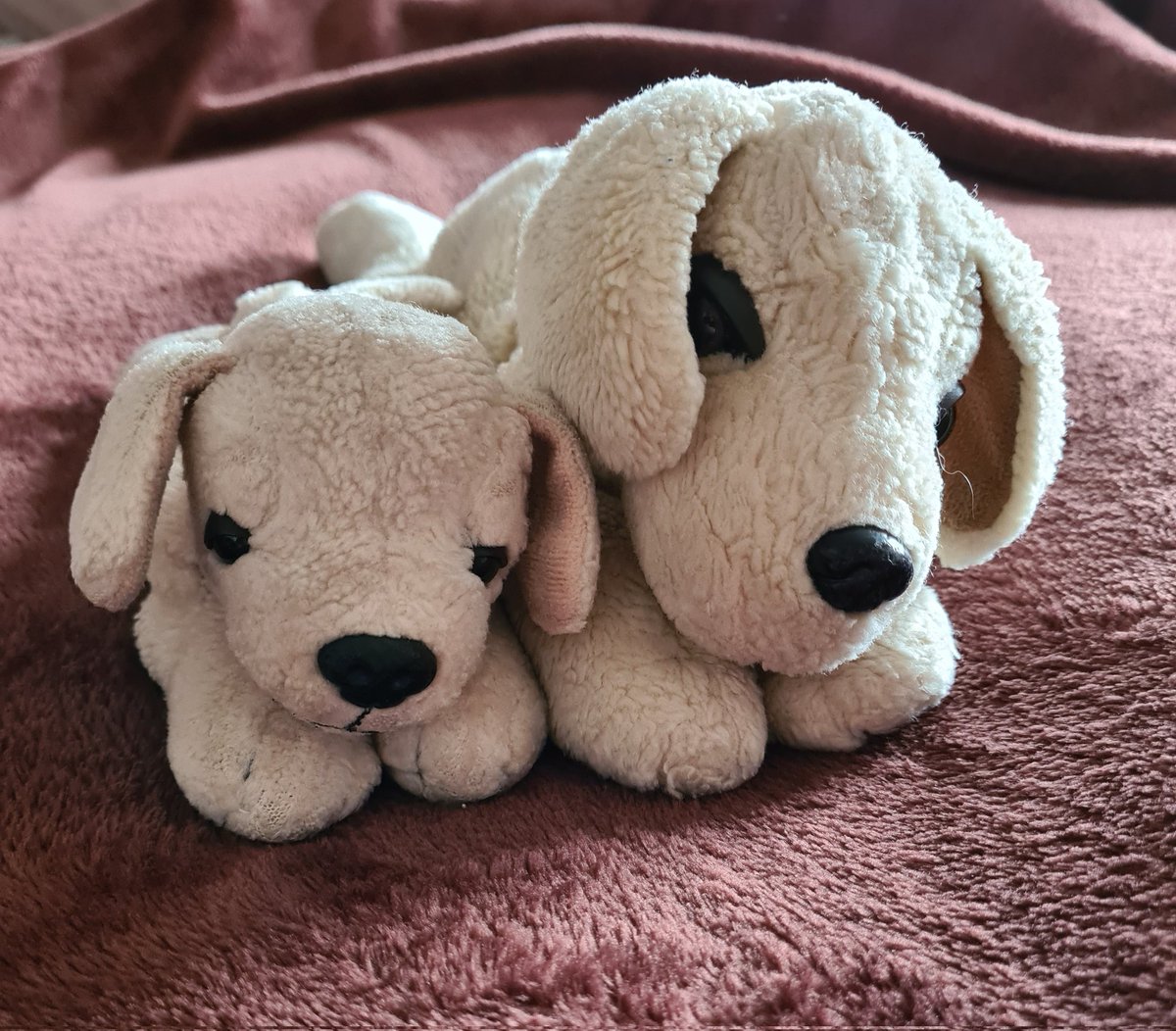 Mrs Mappin HT tweet media