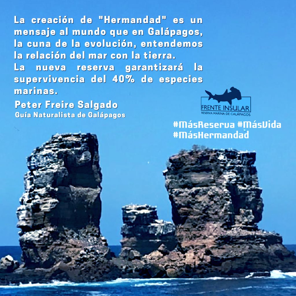 FrenteInsularR1's tweet image. "La reserva #Hermandad garantiza  la supervivencia de más del 40% de especies marinas del todo el mundo"
Tienen,en éste espacio la oportunidad de seguir viviendo diferentes especies 
@PeterFreireSalg desde  #Wolf
@MasHermandad
@Mas_Galapagos 
@MigraMar @GustavoManriq_M