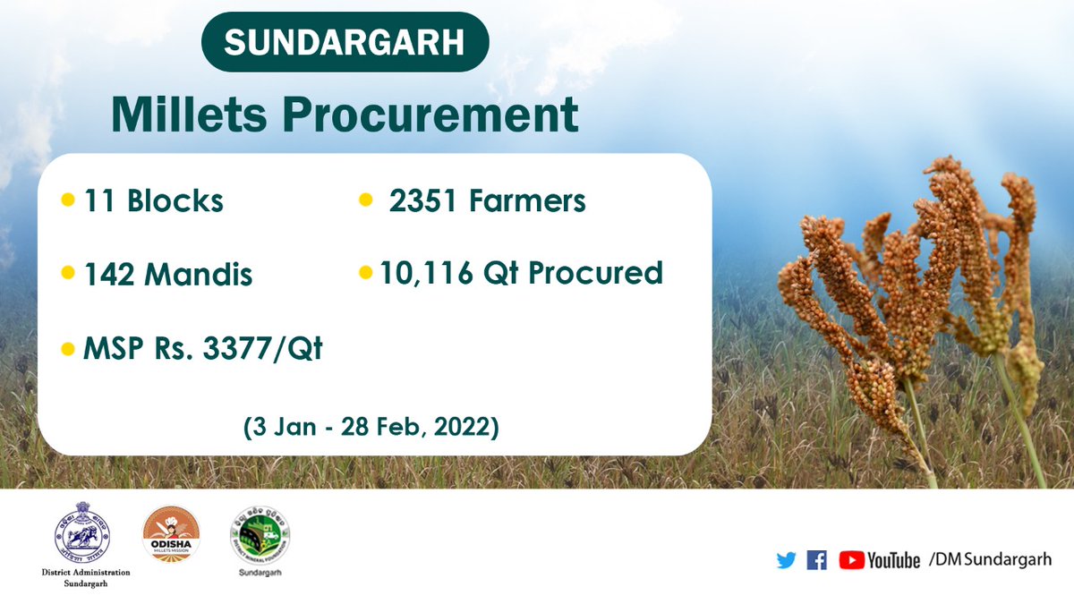 DmfSundargarh's tweet photo. 10,116 Quintals of Millets have been procured from 2351 farmers at 142 Mandis of Sundargarh during Kharif season from 3 Jan-28 Feb, 2022. The process will continue till 15 March, 2022 across 11 blocks of the district. Millet is being procured at MSP Rs. 3377/Quintal. @CMO_Odisha https://t.co/YMJUdvysoz