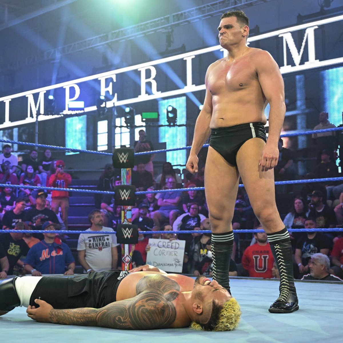 WWE India tweet media