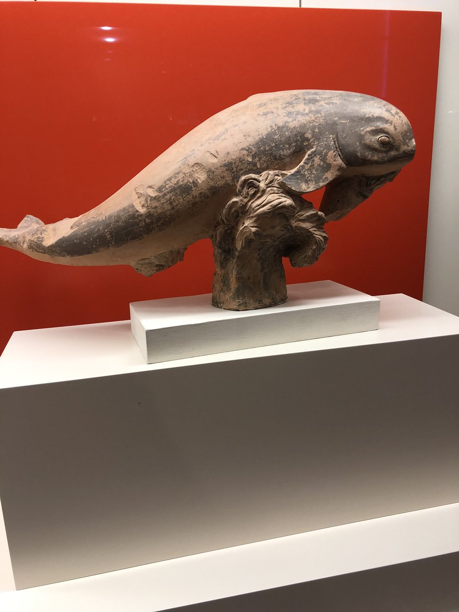 David Paperno tweet media