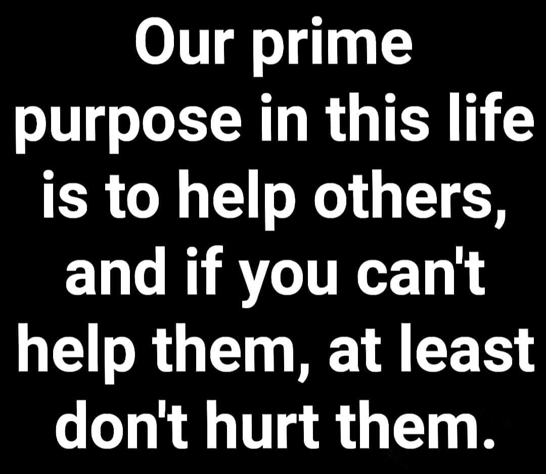 Happy Wednesday #genealogy community. Looks like someone has rediscovered Twitter eh!? Hope you have a super day and smash down some brick walls #bekind #nobullyingingenealogy #genealogyforall
