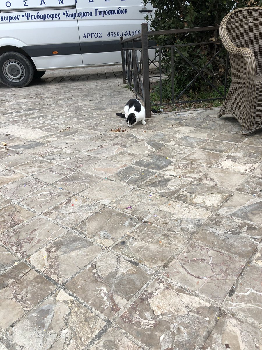 David Paperno tweet media