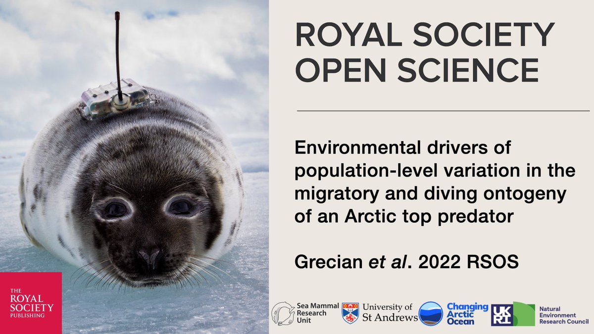 🚨New research🚨 led by @JamesGrecian and @_SMRU_ published in @RSocPublishing #OpenScience explores how migratory and dive behaviour develop over the first year of life for young harp seals 🦭 dx.doi.org/10.1098/rsos.2… #marinemammals #biologging @NERC_CAO @NERCscience