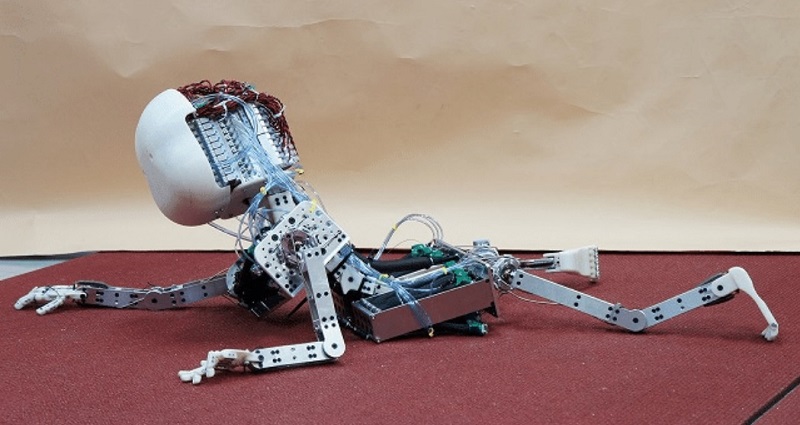 igrgavilan's tweet image. [Blue Chip]: &quot;¿Una infancia para los robots?&quot; ignaciogavilan.com/una-infancia-p… #robots #algoritmos #algortihms #aprendizaje #learning