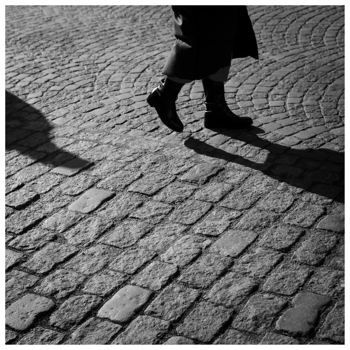 HellstenPhoto's tweet image. Malmö, 2022