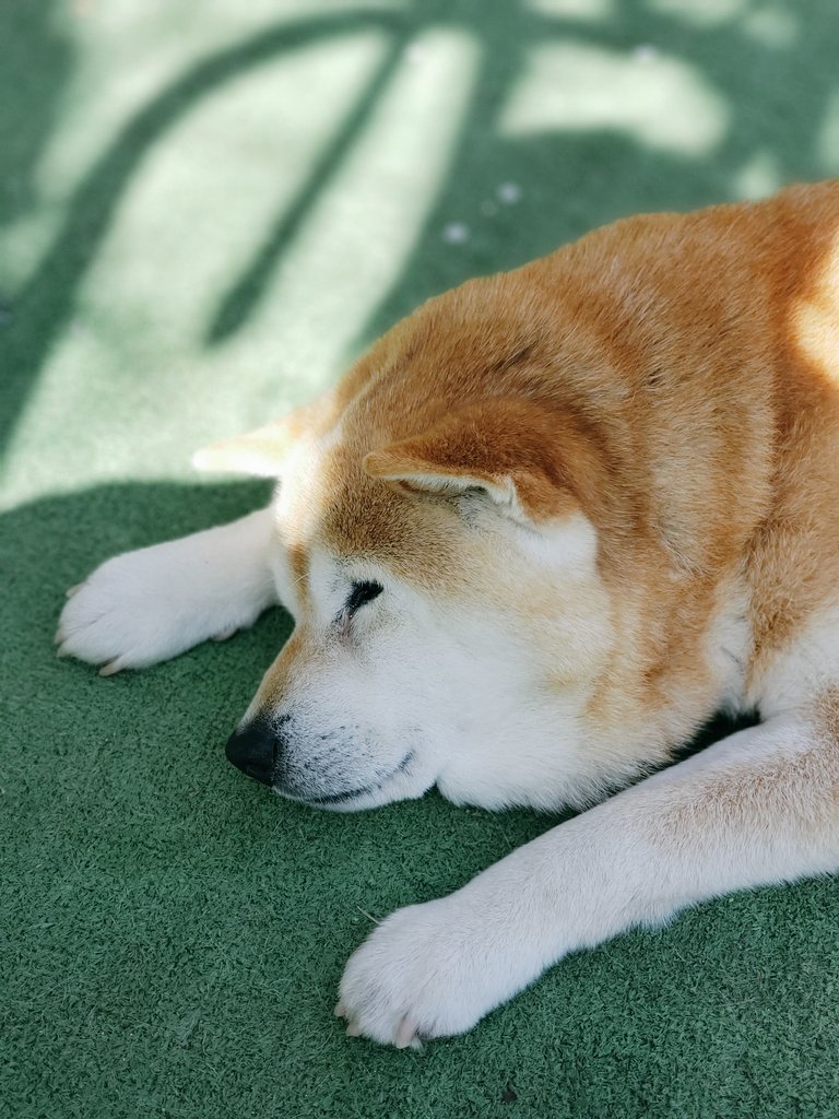 Tweets With Replies By Mmmaruuu Marumaru 008 Twitter