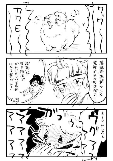 ポメ松こへいた 