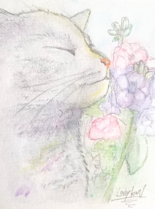 ストックの花のtwitterイラスト検索結果