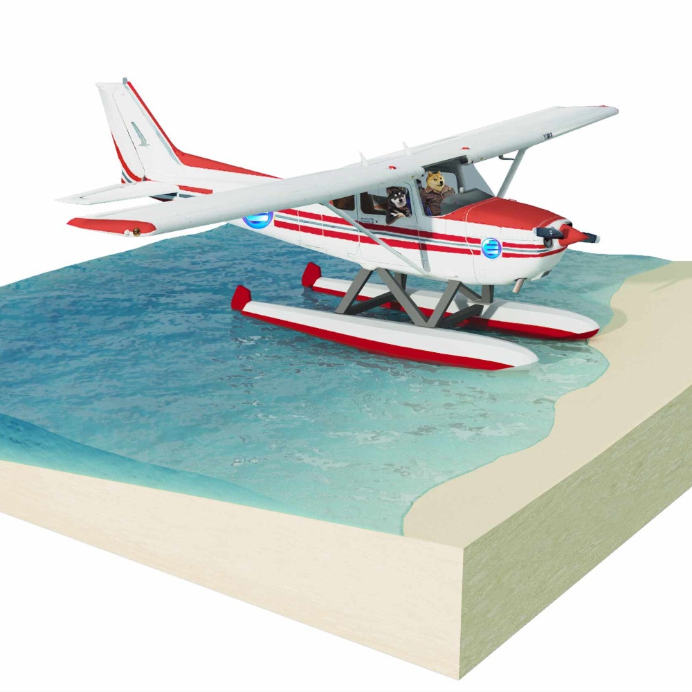 Bermuda Flight School tweet media