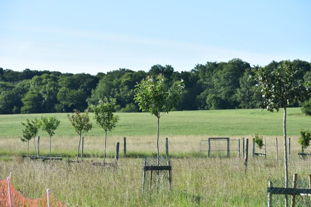 MairesRuraux78's tweet photo. @Salondelagri :  le travail du collectif des 7 agriculteurs de la ferme des Clos de #Bonnelles sur les arbres, alliés des cultures, a été salué et récompensé avec le prix du concours général agricole agroforesterie 🎖️https://t.co/zJBHlPEOX1 https://t.co/h9qq6Z0HY1
