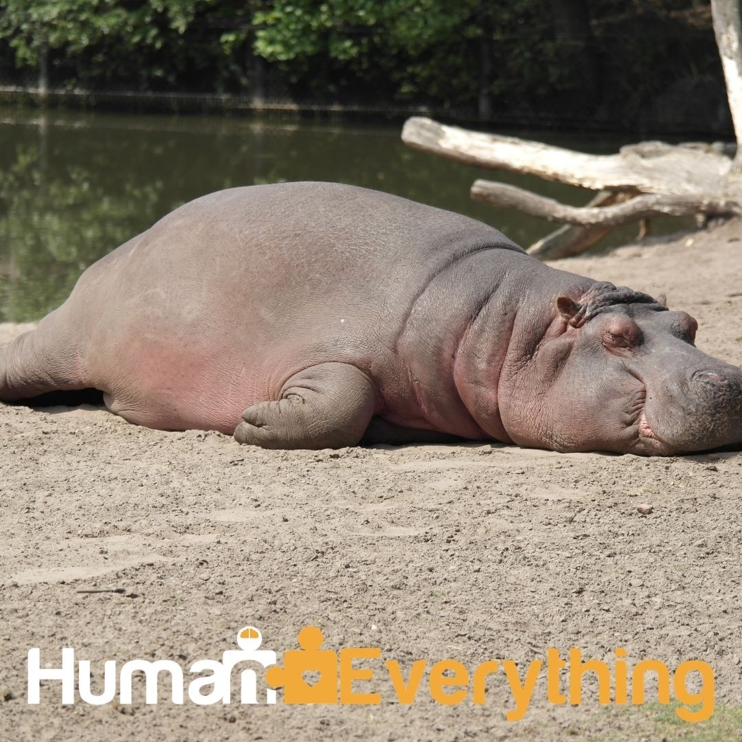 Covid restrictions had barely eased when Ukraine conflict hit headlines. It may not impact your business but it may impact on your people. Responsible business owners, check in with them. Be supportive. Ask them how they're doing. 
Pic: Tim De Pauw, Unsplash
#EQ  #mentalhealth