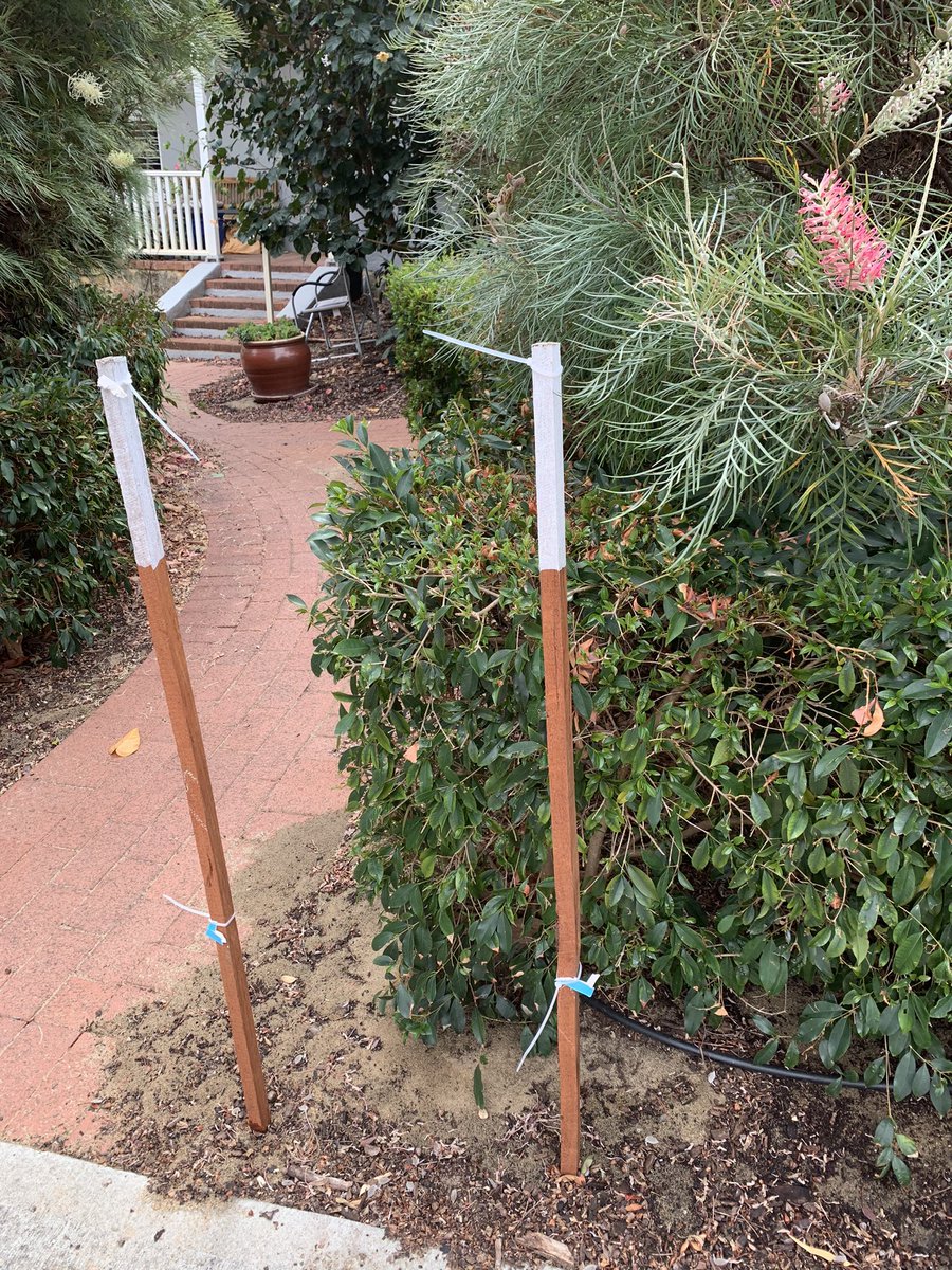 Well that was rude!
#nowyouseeit #nowyoudont