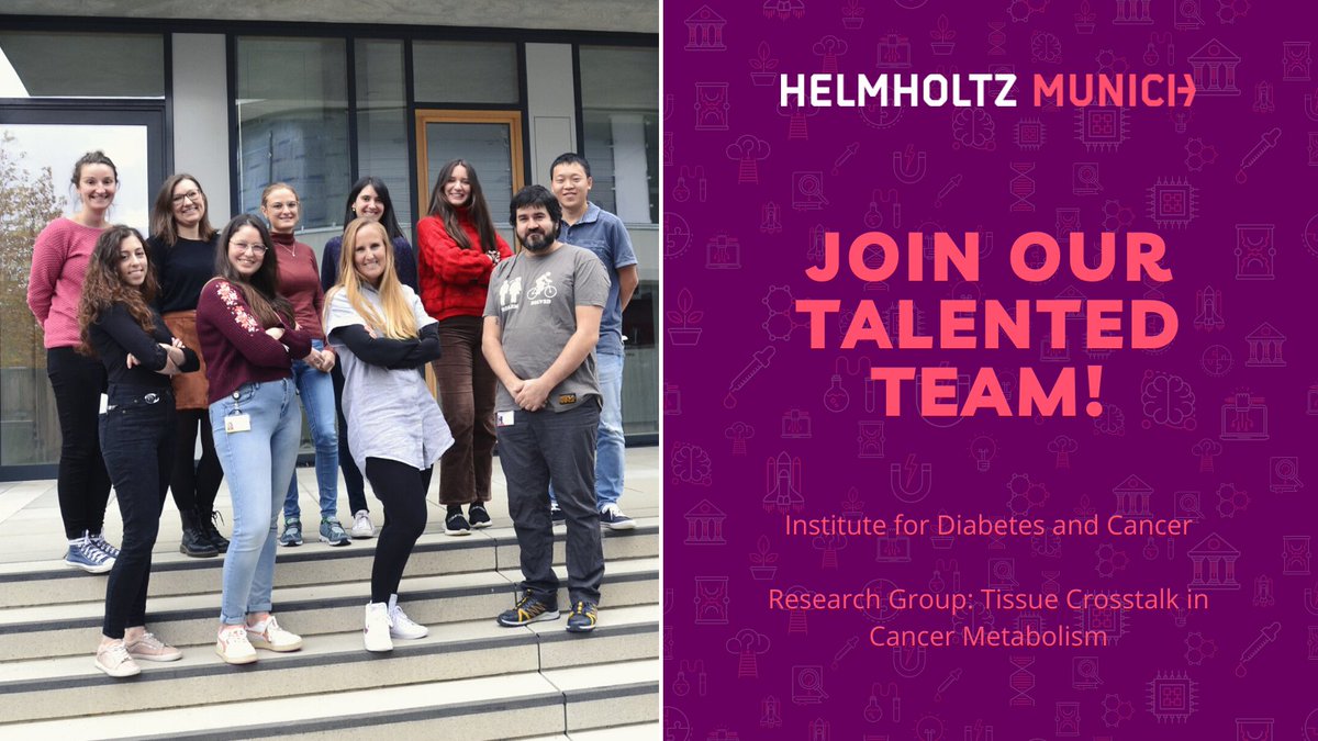 Maria Rohm (@rohmmaria) on Twitter photo 📢#JobAlert in my group <a href="/helmholtz_diabc/">Helmholtz Diabetes Center (HDC)</a>!
I am looking for a #PhD student and #Postdoc in #metabolism #cancer #cachexia to join my team: bit.ly/3M2DK4U
PM if you are interested and need more information🧑🔬 📢#JobAlert in my group <a href="/helmholtz_diabc/">Helmholtz Diabetes Center (HDC)</a>!
I am looking for a #PhD student and #Postdoc in #metabolism #cancer #cachexia to join my team: bit.ly/3M2DK4U
PM if you are interested and need more information🧑🔬