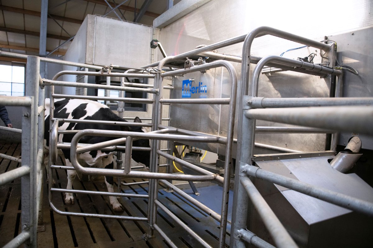 With a spacious crate, silent arm and natural entry and exit, cows are happy to be #milkingwithm2erlin 

#RelaxedCows #Dairy #SmartMilking