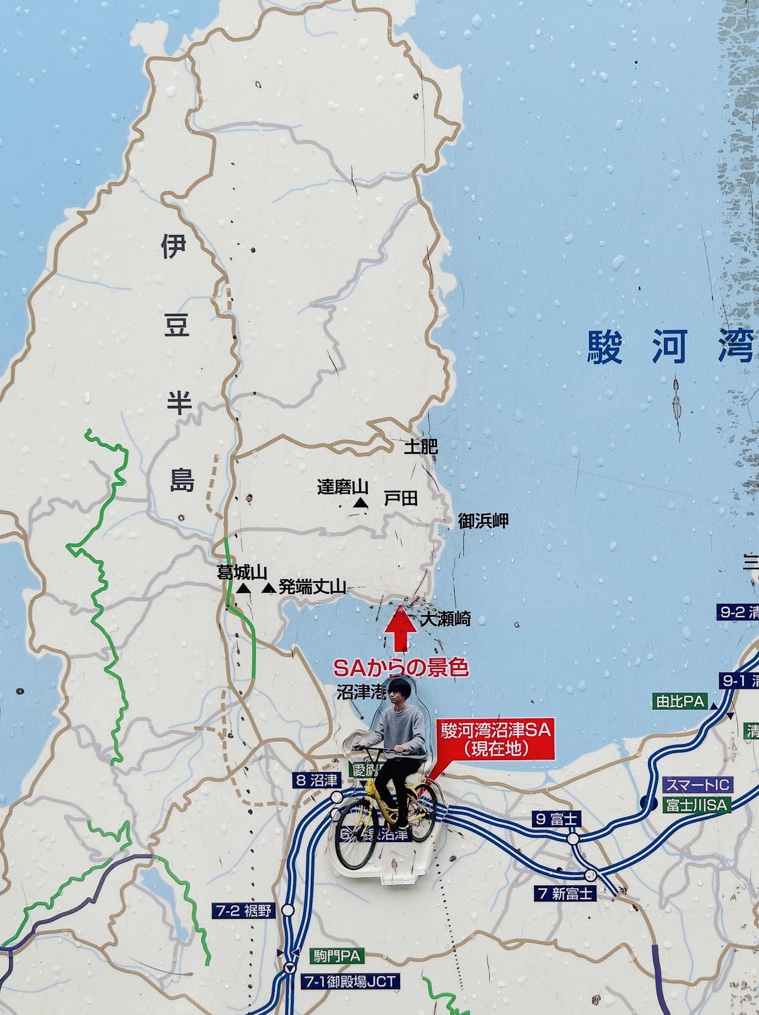 ヒトリエ ゆーまおアクリルスタンド 商品リスト | ARTIST DELI