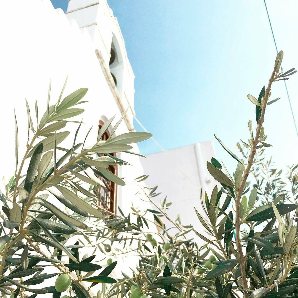 Axvqzh47gtyvum Axvqzh47gtyvum