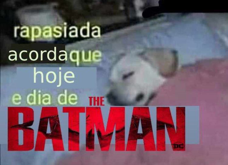 shxridanmari's tweet image. HOJE SOU EUUUU