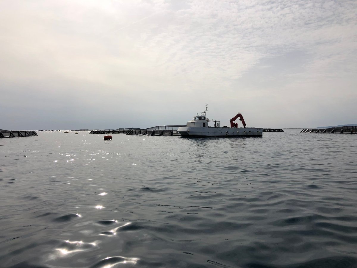 SIMTAP Project tweet media