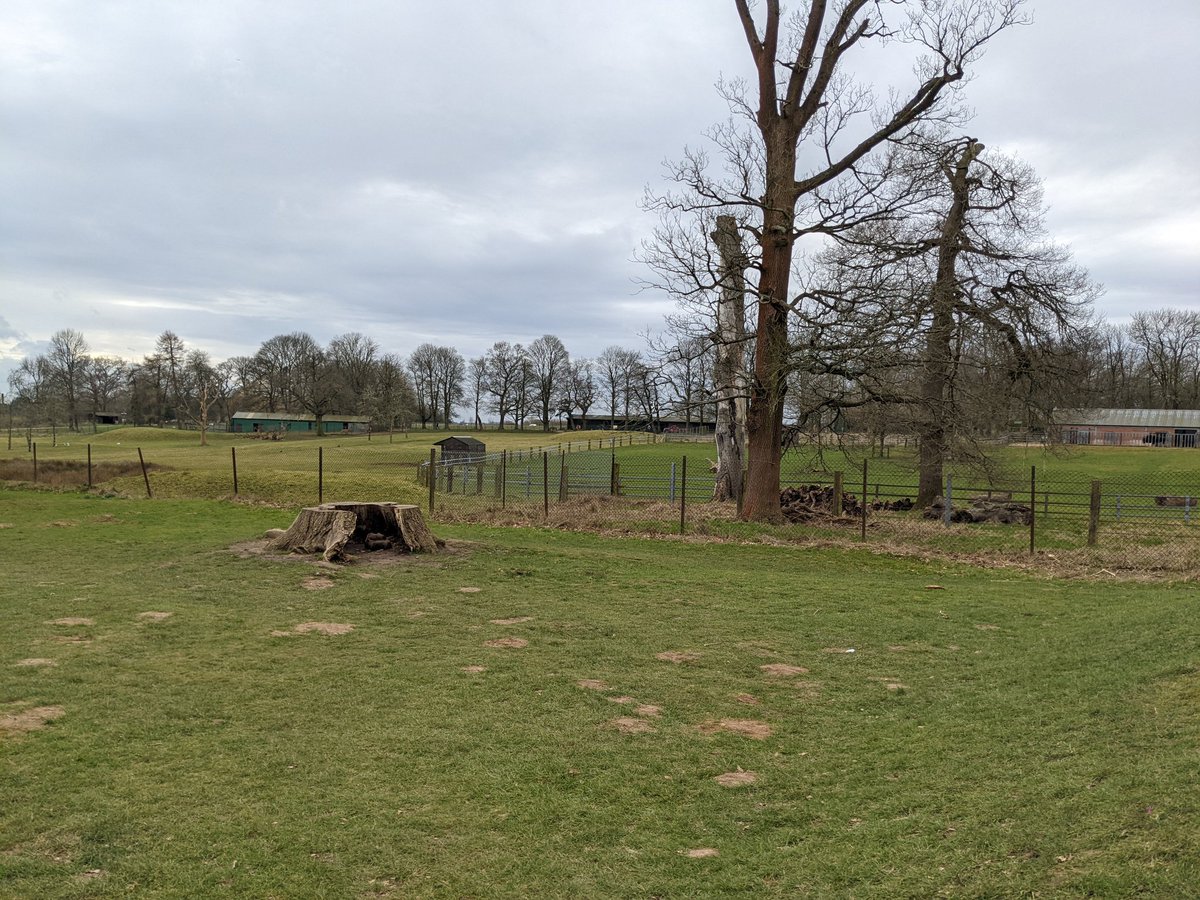 SawtryMarquees's tweet photo. Sawtry Marquee Crew had this view of Whipsnade Zoo a couple of days ago whilst working with another company removing a marquee that had been on long hire.
#MarqueeCrew 
#marqueehire 
#corporatemarqueehire https://t.co/QEBpbvy4oi