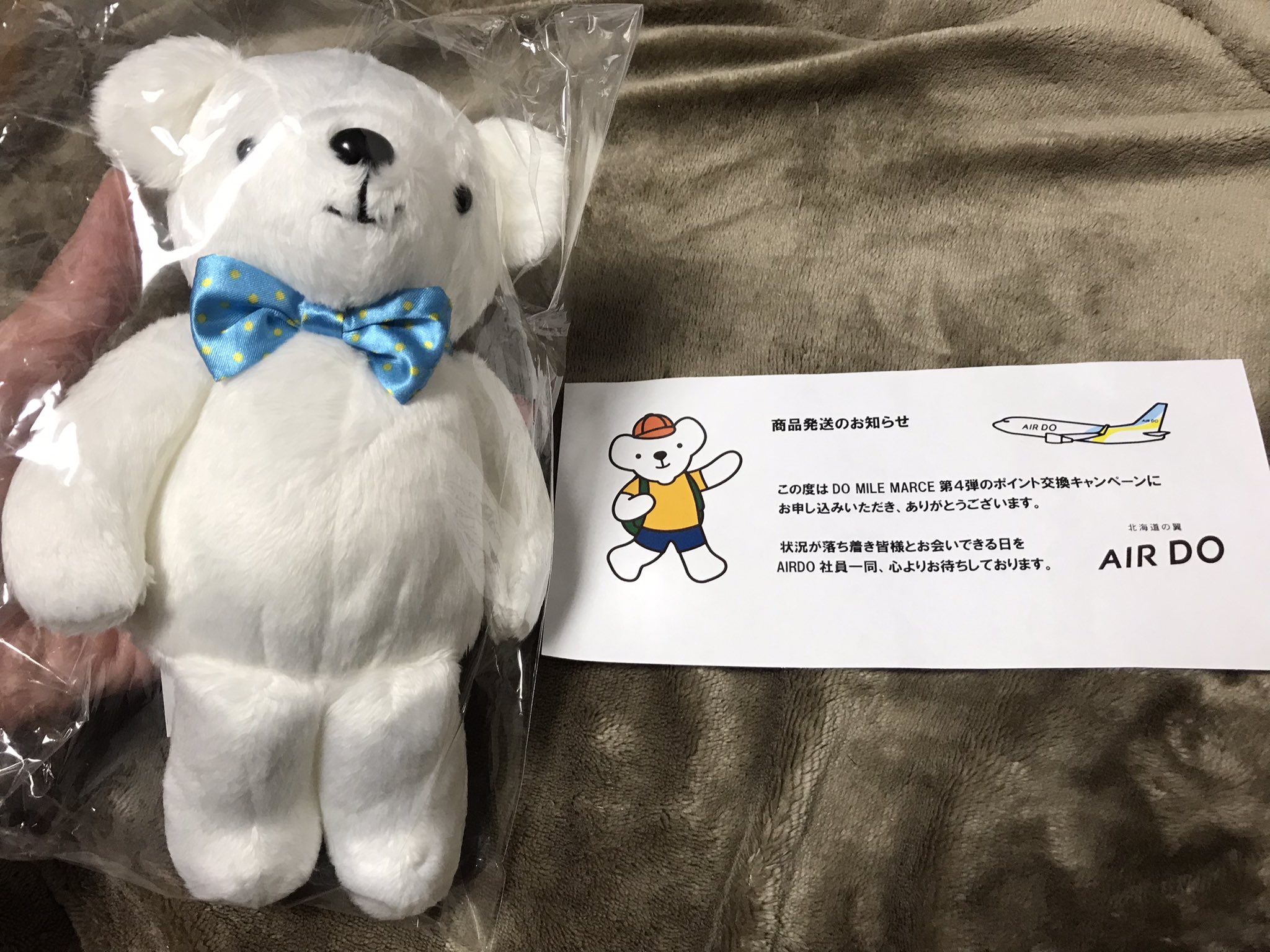 久我 將貴 蝶ネクタイベアドゥが届いた T Co 1oslx1wh5o Twitter