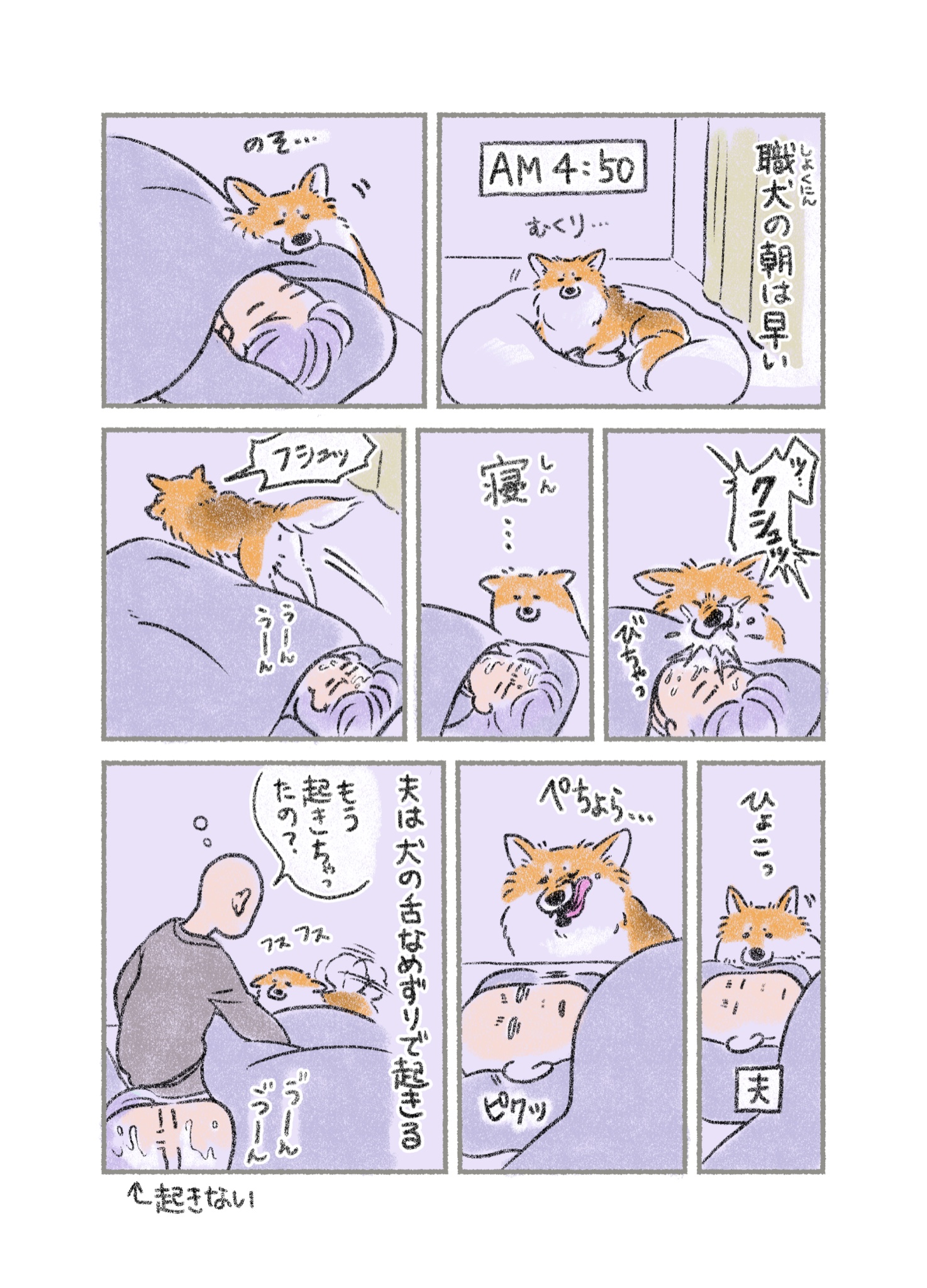 さかぐちまや 犬アラーム T Co Wvxprm4p5t Twitter さかぐちまや 犬アラーム T Co Wvxprm4p5t Twitter