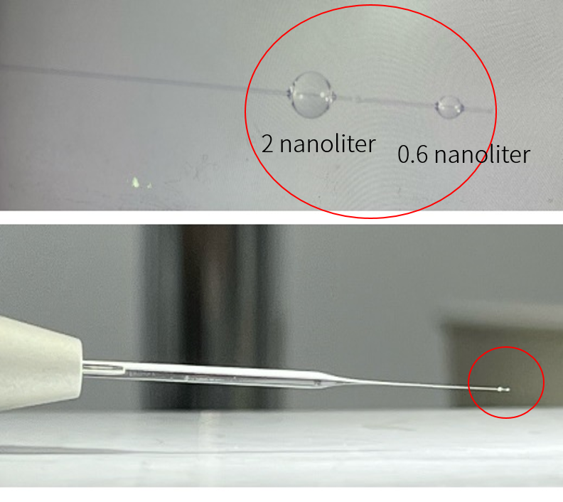 RWDScience's tweet photo. Want to control the movement of a micropipette, electrode or probe as little as 33nm at a time❓
RWD MM-500 Motorized #Micromanipulator can manage it for you. https://t.co/pEh4angLGc https://t.co/pagWUw1RDM