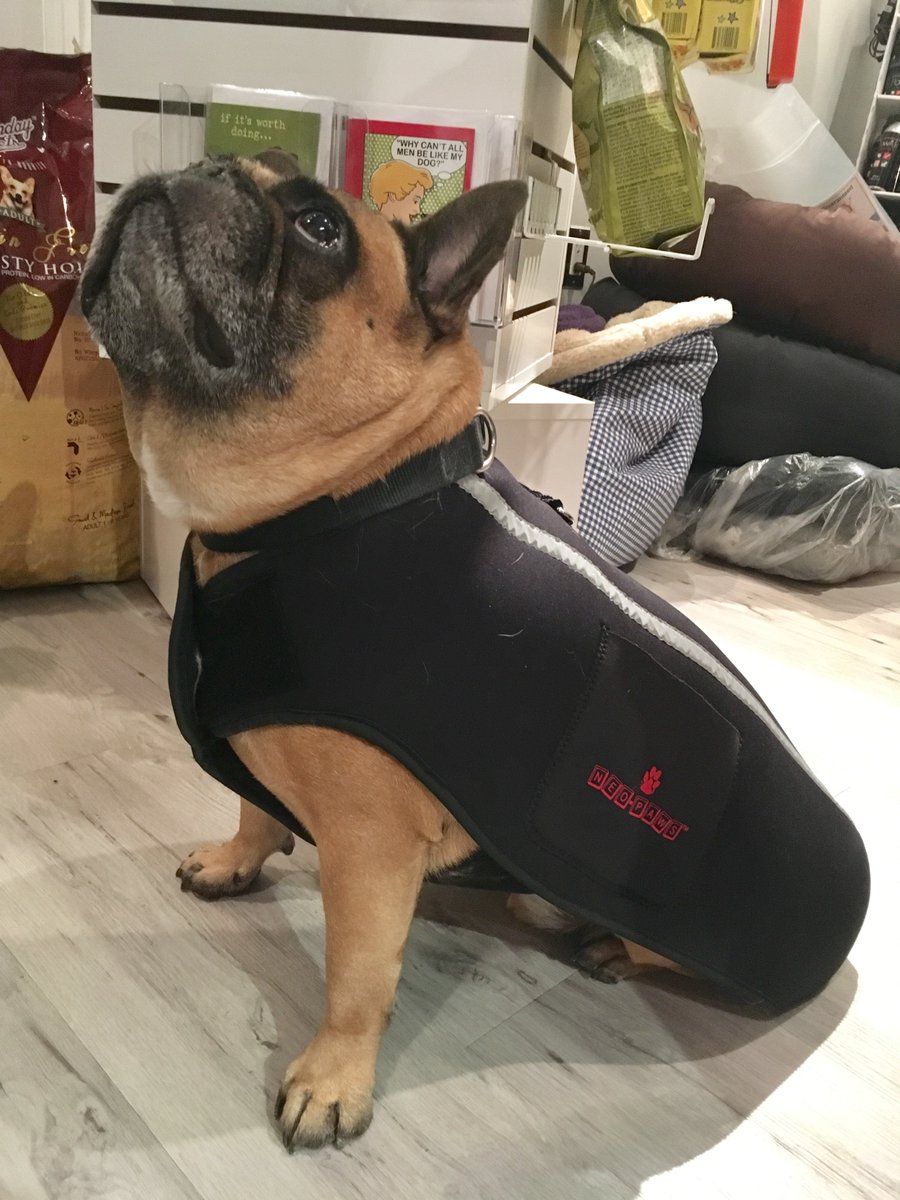 neopaws4pets's tweet photo. We can fit any dog and any size !

Neo-Paws neoprene jacket

Shop online at https://t.co/xJ8aTdsxHV

#Neopaws #NeoPawsInternational #dogfashion #neoprenejacket #dogapparel #dogclothes #dogjacket #dogwear #dogaccessories #dogsupplies #dogstyle #dogcoat https://t.co/rQmHGiWHJM
