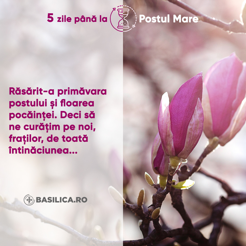 AgentiaBasilica's tweet photo. „Când un om purcede într-o călătorie trebuie să cunoască încotro se îndreaptă. La fel se întâmplă și cu Postul. Mai presus de orice, Postul este o călătorie duhovnicească, iar destinația sa este Paștele, „Praznic al praznicelor”.
- Pr. Alexandru Schmemann 

#lentcountdown https://t.co/NVK4NTLmJD