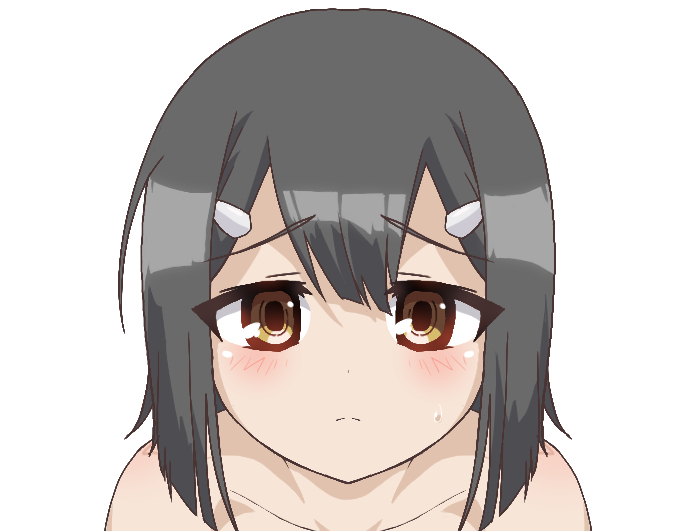 あれやこれやとやったんだ。 