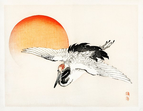 hauserfoto.com (@hauserfoto) on Twitter photo New artwork for sale! - "Flying Barn swallow Japanese Illustration" - matthias-hauser.pixels.com/featured/flyin… <a href="/fineartamerica/">Fine Art America</a> New artwork for sale! - "Flying Barn swallow Japanese Illustration" - matthias-hauser.pixels.com/featured/flyin… <a href="/fineartamerica/">Fine Art America</a>