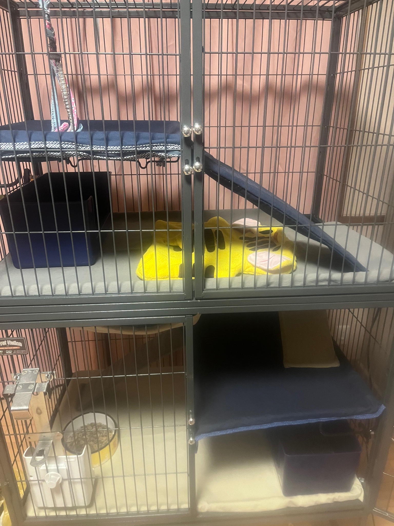 フェレットネーション ケージ 小動物 フェレットネーション ケージ 小動物