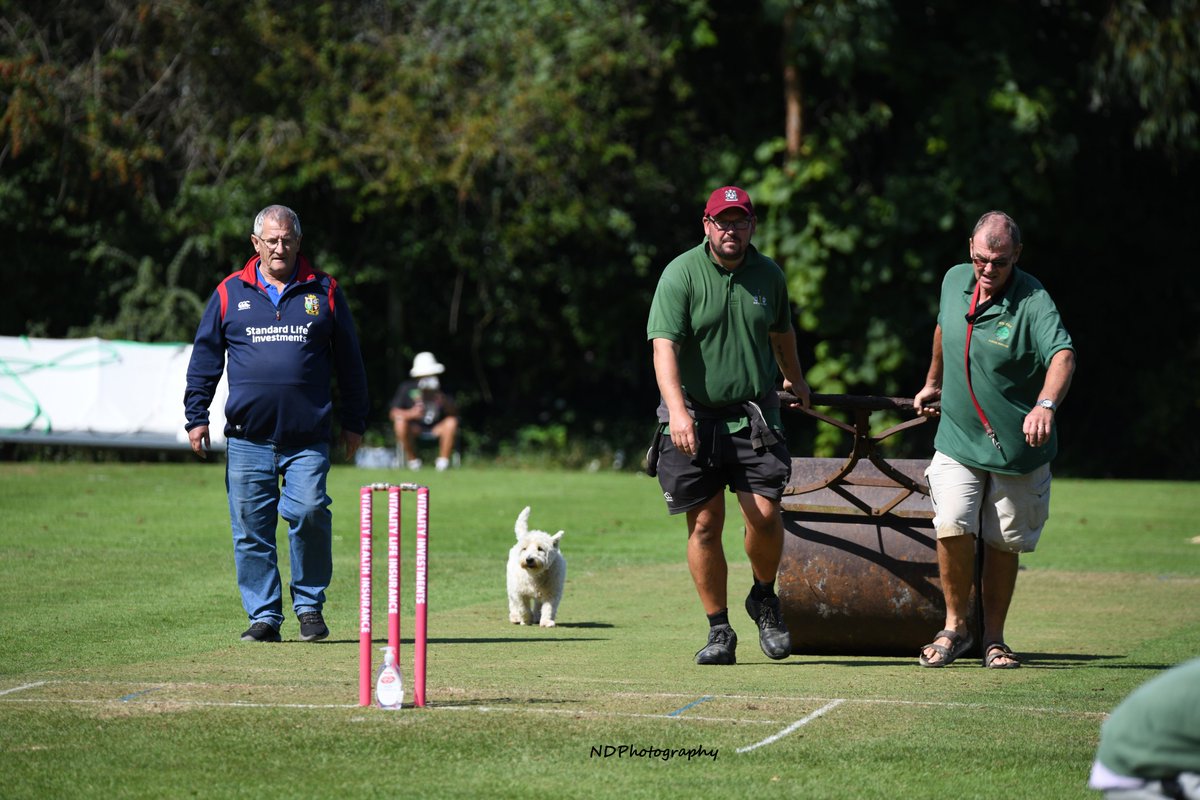 SomCricketFDN's tweet photo. It's #GroundsWeek, so give a shout out to the people who keep your club's ground in great shape throughout the year 🌱

Comment below with your clubs best Groundpersons photo's to say thankyou 👇 https://t.co/obCTq2NjLE